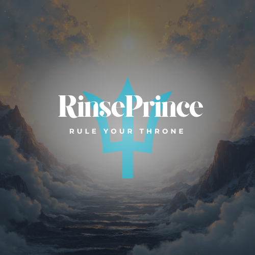 Rinse Prince Bidet